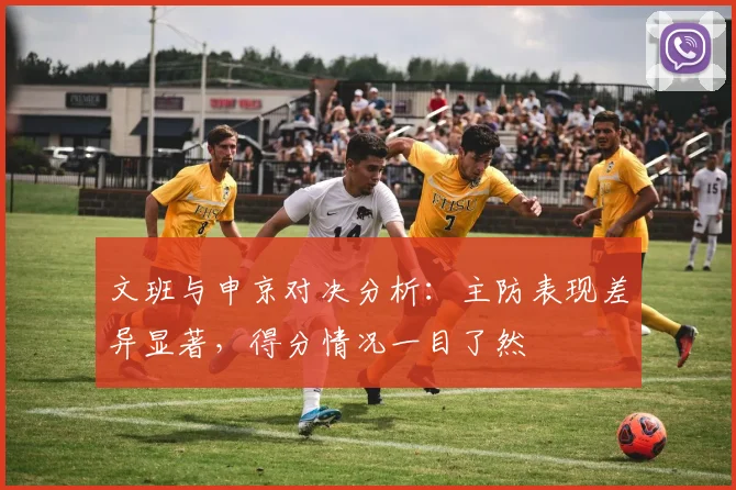 文班与申京对决分析：主防表现差异显著，得分情况一目了然